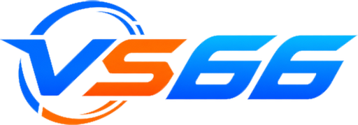 vnvs66.com Logo